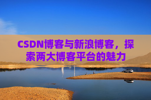 CSDN博客与新浪博客，探索两大博客平台的魅力
